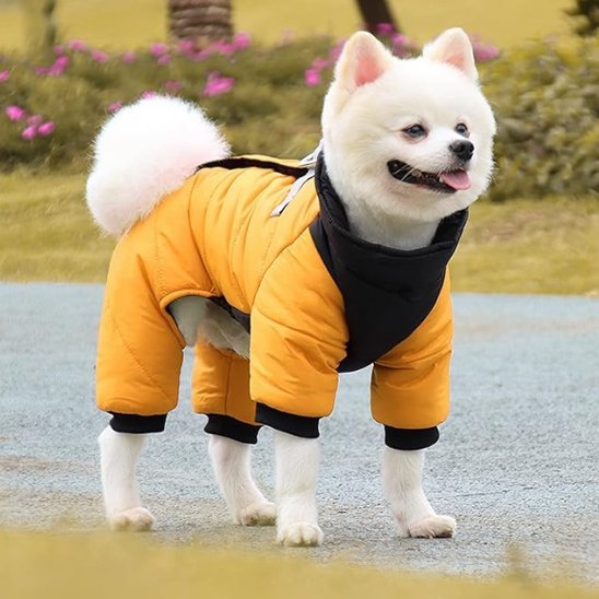 Manteau chien | Imperméable confort - La Maison Ideale Des Chiens
