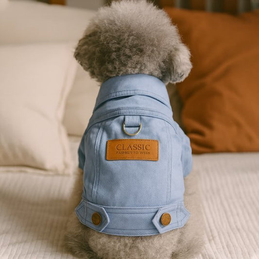Manteau chien | Imperméable Confort - La Maison Ideale Des Chiens