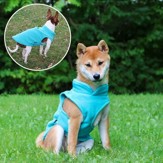 Manteau chien | Imperméable Hivernale - La Maison Ideale Des Chiens