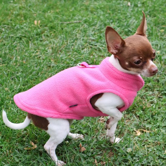 Manteau chien | Imperméable Hivernale - La Maison Ideale Des Chiens