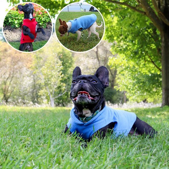 Manteau chien | Imperméable Hivernale - La Maison Ideale Des Chiens