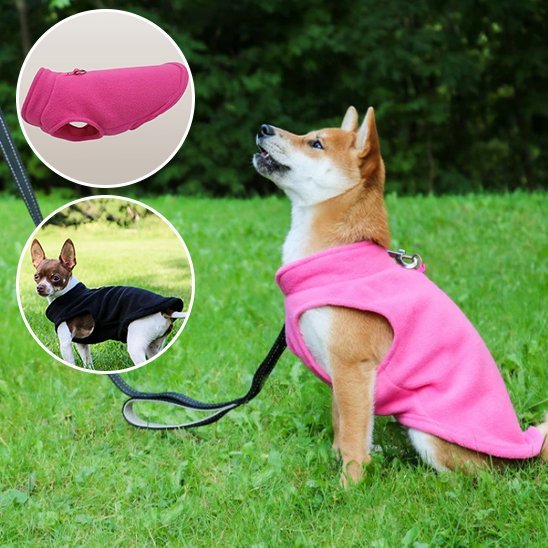 Manteau chien | Imperméable Hivernale - La Maison Ideale Des Chiens