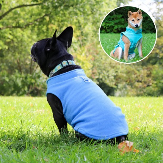 Manteau chien | Imperméable Hivernale - La Maison Ideale Des Chiens