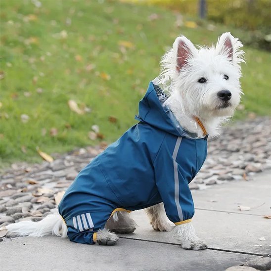 Manteau pour chien | Imperméable & Chaud - La Maison Ideale Des Chiens