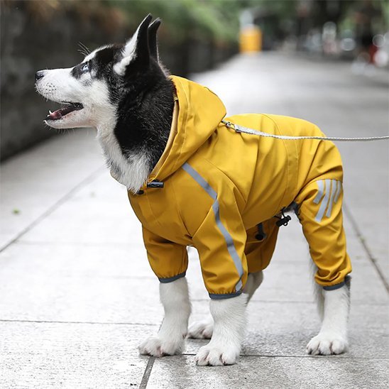 Manteau pour chien | Imperméable & Chaud - La Maison Ideale Des Chiens