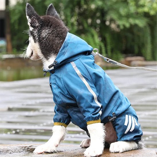 Manteau pour chien | Imperméable & Chaud - La Maison Ideale Des Chiens