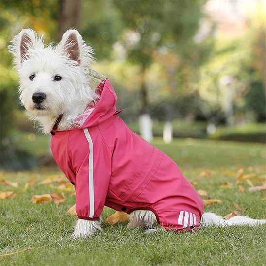 Manteau pour chien | Imperméable & Chaud - La Maison Ideale Des Chiens
