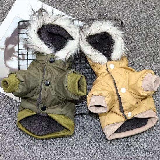 Manteau pour chien | Imperméable Élégant - La Maison Ideale Des Chiens