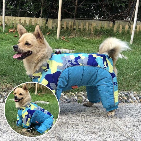 Manteau pour chien | Imperméable Thermique - La Maison Ideale Des Chiens