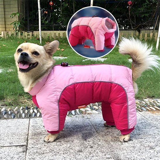 Manteau pour chien | Imperméable Thermique - La Maison Ideale Des Chiens