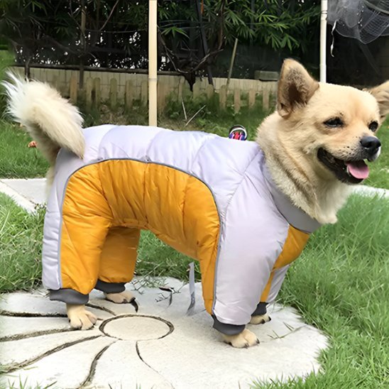 Manteau pour chien | Imperméable Thermique - La Maison Ideale Des Chiens