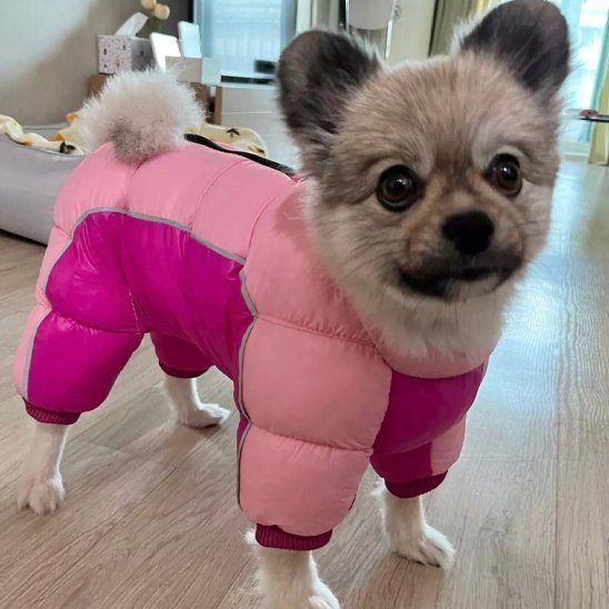 Manteau pour chien | Imperméable Thermique - La Maison Ideale Des Chiens