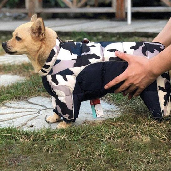 Manteau pour chien | Imperméable Thermique - La Maison Ideale Des Chiens