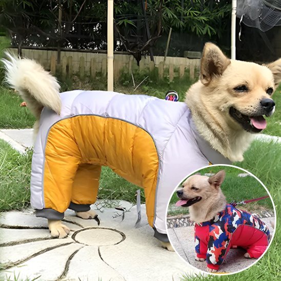 Manteau pour chien | Imperméable Thermique - La Maison Ideale Des Chiens