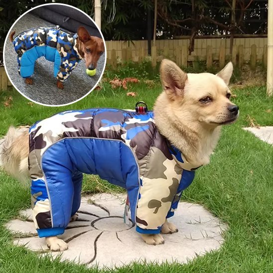 Manteau pour chien | Imperméable Thermique - La Maison Ideale Des Chiens