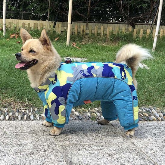 Manteau pour chien | Imperméable Thermique - La Maison Ideale Des Chiens