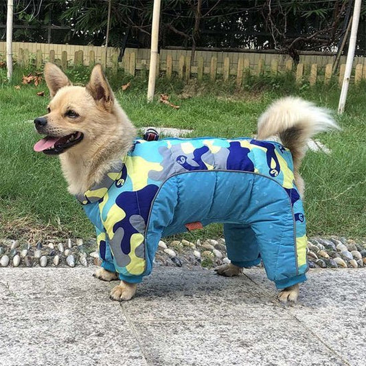 Manteau pour chien | Imperméable Thermique - La Maison Ideale Des Chiens