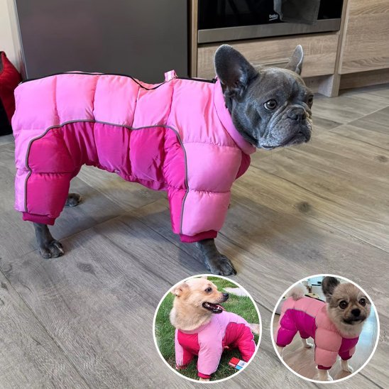 Manteau pour chien | Imperméable Thermique - La Maison Ideale Des Chiens