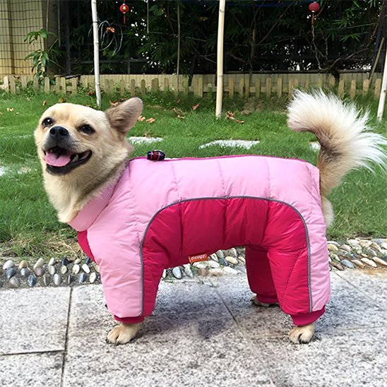 Manteau pour chien | Imperméable Thermique - La Maison Ideale Des Chiens
