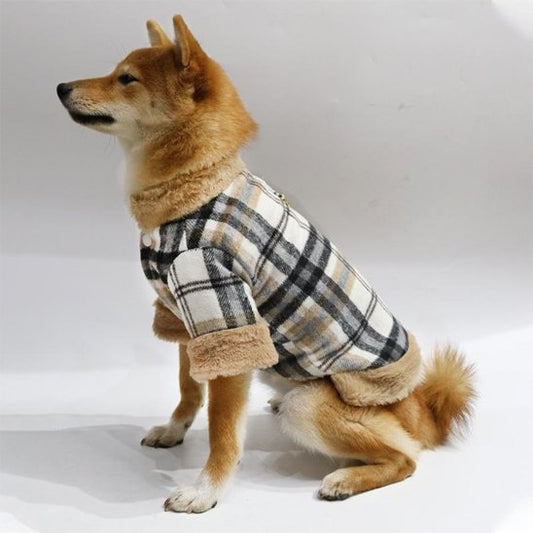 Manteau pour chien imperméable | WarmProtect - La Maison Ideale Des Chiens