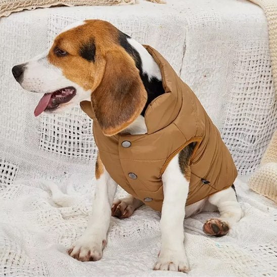 Manteau pour chien | Polaire Imperméable - La Maison Ideale Des Chiens