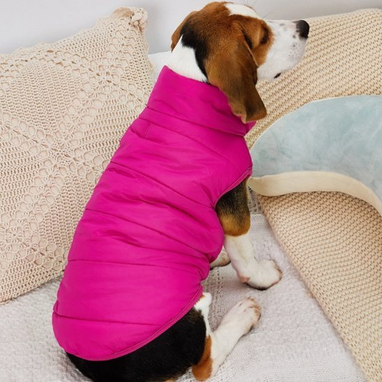 Manteau pour chien | Polaire Imperméable - La Maison Ideale Des Chiens