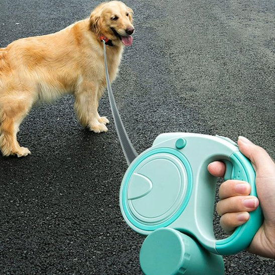 Laisse pour Chien | Robuste & Confort