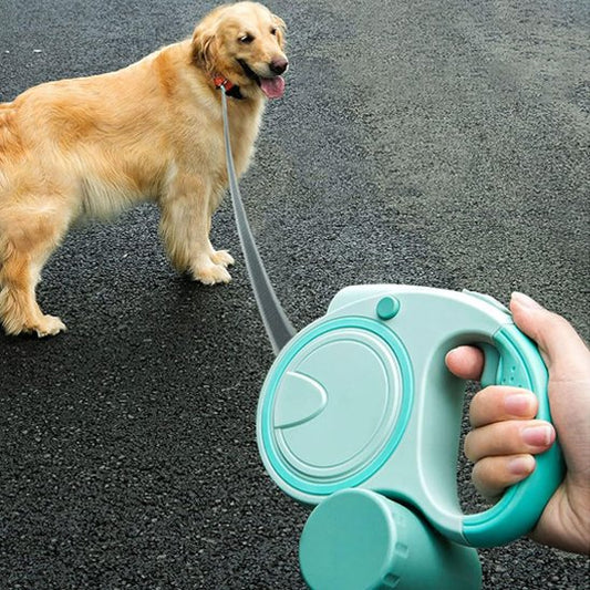 Laisse pour Chien | Robuste & Confort