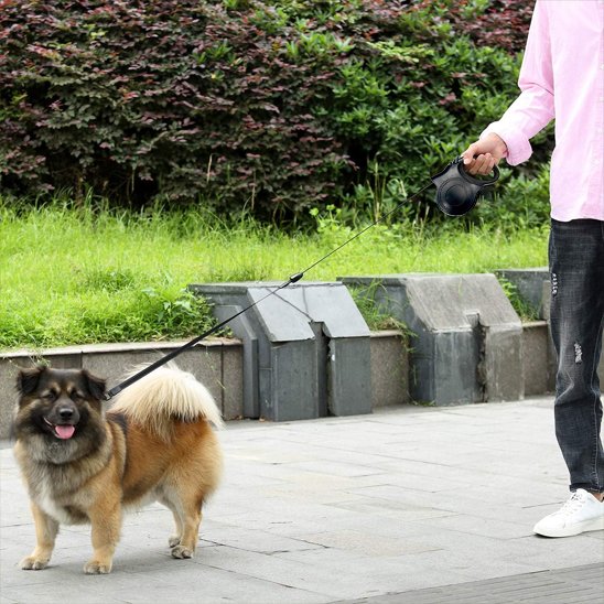Laisse pour chien | Robuste & Ajustable