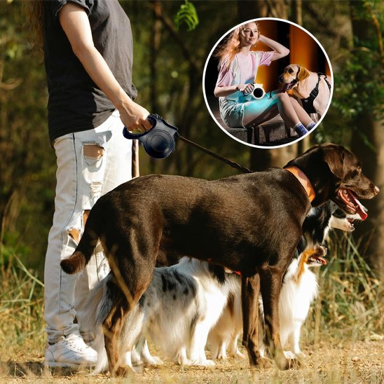 Laisse pour chien | Robuste & Ajustable