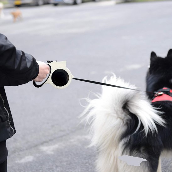 Laisse pour chien | Robuste & Ajustable