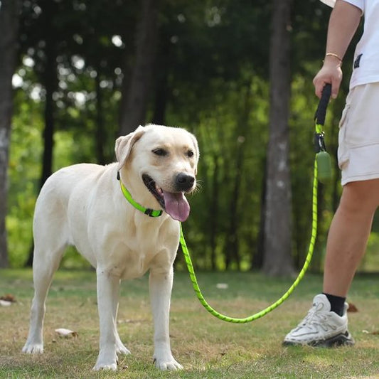 Laisse pour chien | RobuControl