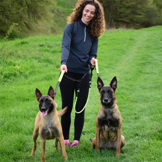Double laisse pour chien | Promenade Confort