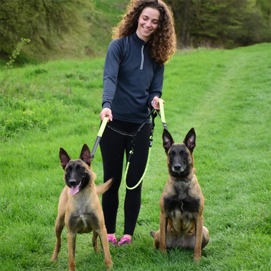 Double laisse pour chien | Promenade Confort