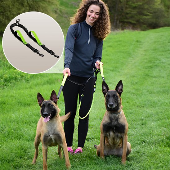 Double laisse pour chien | Promenade Confort
