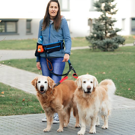 Double laisse pour chien | Promenade Confort
