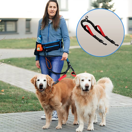 Double laisse pour chien | Promenade Confort