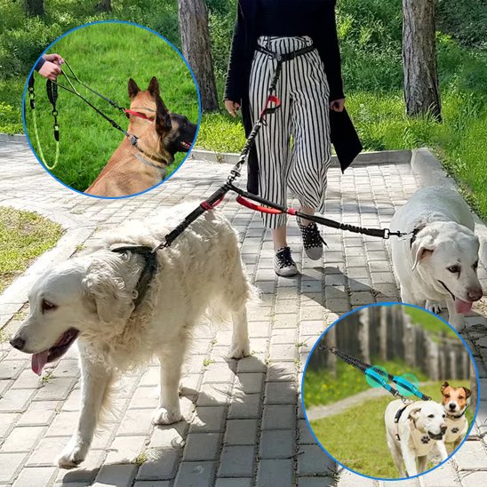 Double laisse pour chien | Promenade Confort
