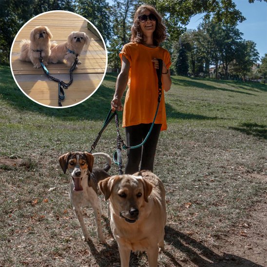 Double laisse pour chien | Promenade Confort