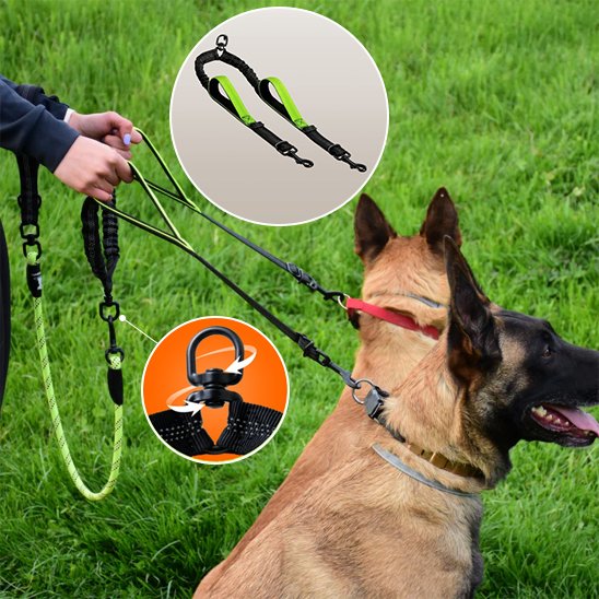 Double laisse pour chien | Promenade Confort
