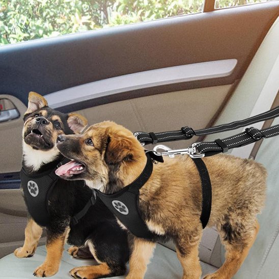 Double laisse pour chien | PromenDuo