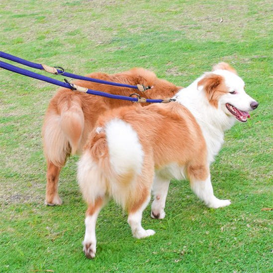 Laisse double pour chien | MultiWalk