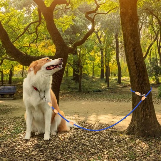 Laisse double pour chien | MultiWalk