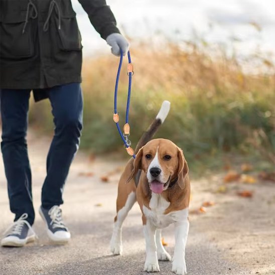 Laisse double pour chien | MultiWalk