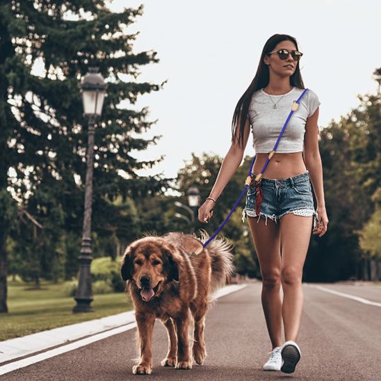 Laisse double pour chien | MultiWalk