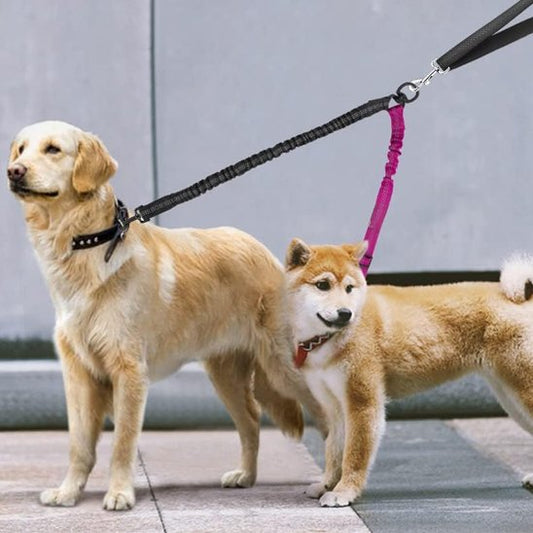 Laisse double pour chien | DuoWalk