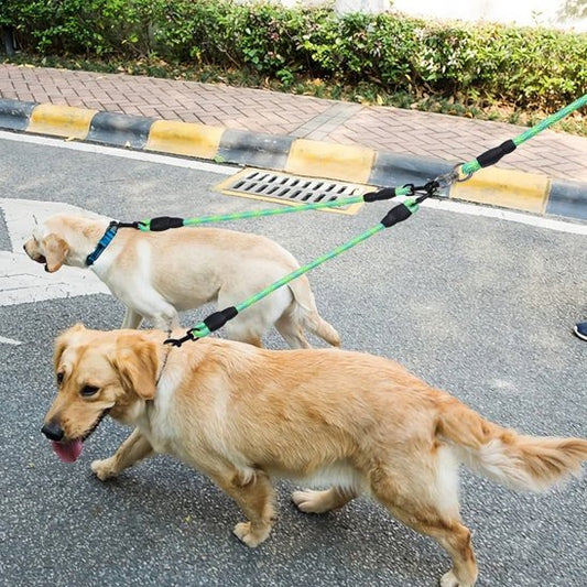 Laisse double pour chien | Sécurité & Confort