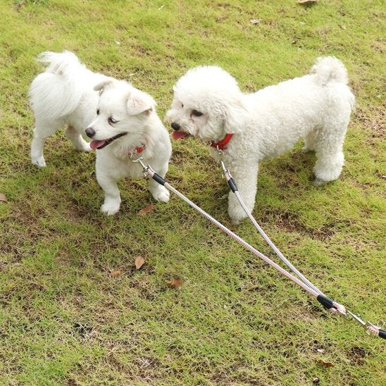 Laisse double pour chien | Sécurité & Confort