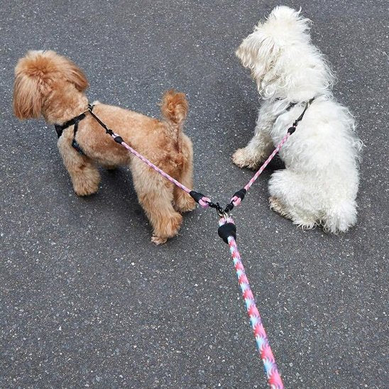 Laisse double pour chien | Sécurité & Confort