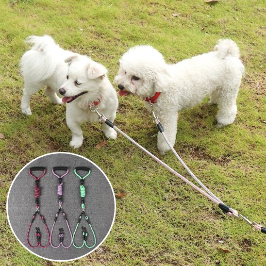 Laisse double pour chien | Sécurité & Confort